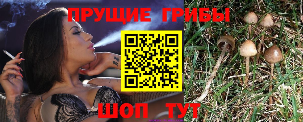 Галлюциногенные грибы MAGIC MUSHROOMS Скопин